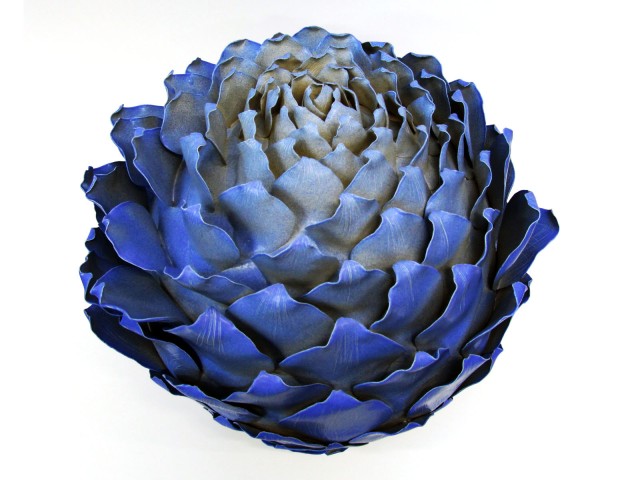 blue-seed-pod